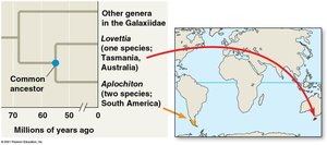 Verspreiding van Galaxiidae vissen over continenten