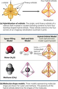 Hybridization of orbitals and molecular shapes