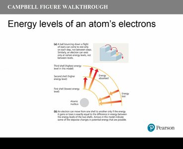 Energy levels of an atom's electrons