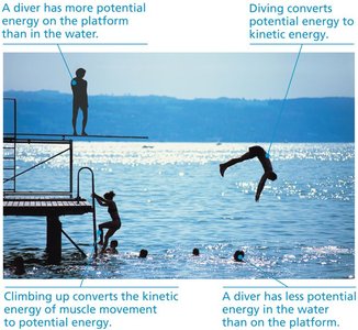 Transformations between potential and kinetic energy in diving