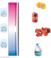 pH scale with common substances