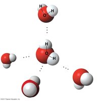 Hydrogen bonding between water molecules