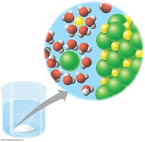 Water dissolving ionic compounds