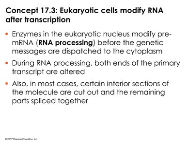 RNA processing: capping and poly(A) addition