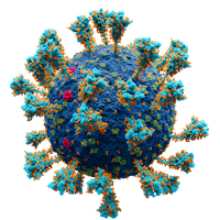 Living characteristics of viruses