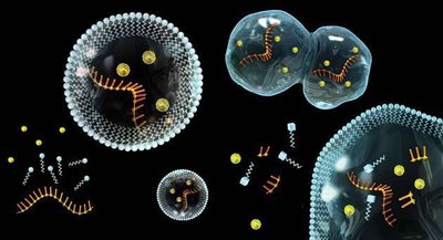Artistic depiction of protocells with RNA and other molecules