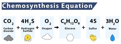 Chemosynthesis equation
