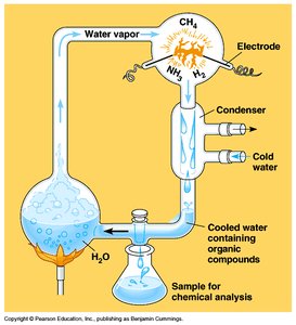 Diagram of the Miller-Urey apparatus