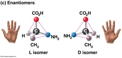 Enantiomers: L and D isomers