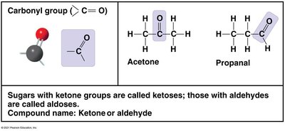 Carbonyl group details