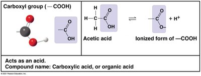Carboxyl group details