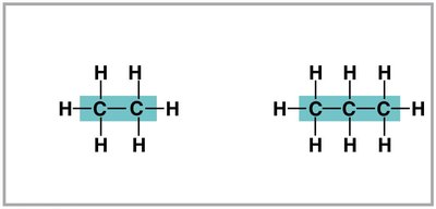 Hydrocarbon chain length: Ethane and Propane