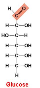 Glucose structure