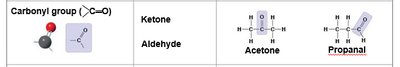 Carbonyl group: ketone and aldehyde