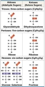 Classification of monosaccharides