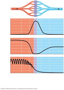 Blood pressure, velocity, and area in vessels