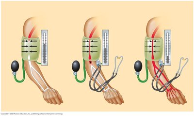 Measuring blood pressure with a cuff