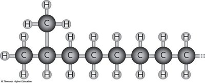 Branched carbon chain