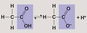 Carboxylic acid vs. carboxylate ion