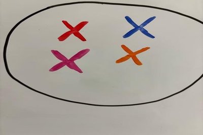 Model of a cell with four chromosomes before DNA replication