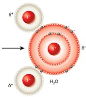 Diagram showing the polarity of water and hydrogen bonding