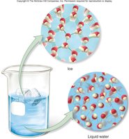 Comparison of hydrogen bonding in ice and liquid water