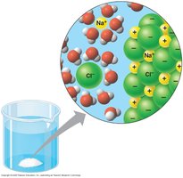 NaCl dissolving in water, showing hydration shells around ions