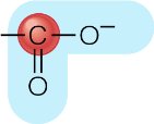 Carboxyl group non-ionised