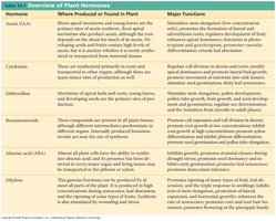 Table summarizing the major plant hormones, their sites of production, and their main functions.