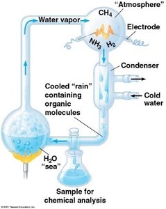 Miller-Urey experiment apparatus