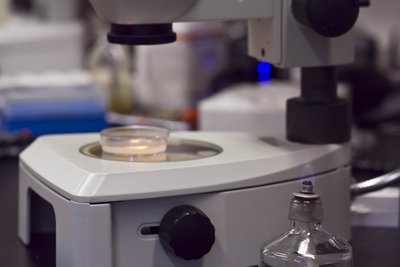 Laboratory microscope and equipment