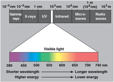Electromagnetic spectrum and visible light