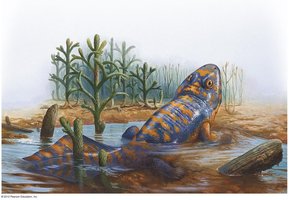 Lungfish