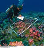 Field survey in aquatic ecosystem