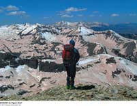 Field survey in mountainous ecosystem