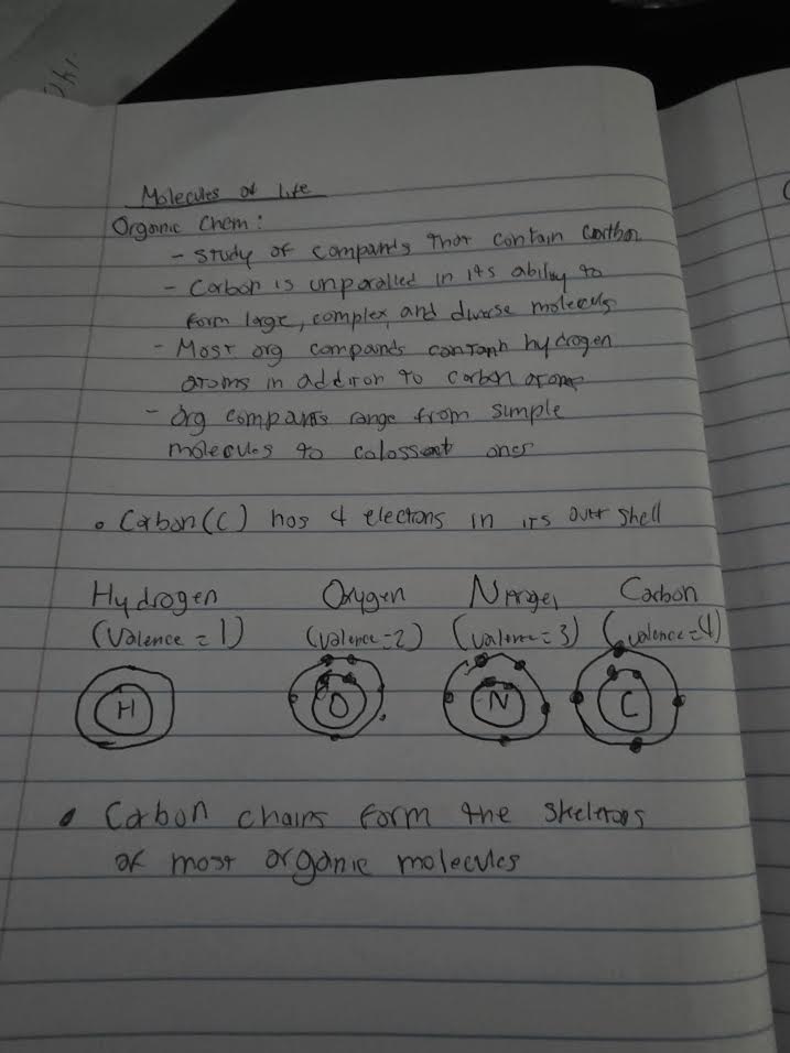 Atomic structure diagrams for Hydrogen, Oxygen, Nitrogen, and Carbon showing valence electrons