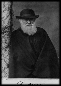 Portrait of Charles Darwin
