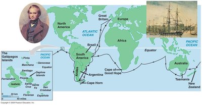 Darwin's voyage map
