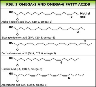 Omega-3 and omega-6 fatty acids