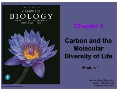 Chapter 4 cover slide: Carbon and the Molecular Diversity of Life