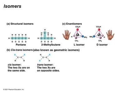 Types of isomers: structural, cis-trans, enantiomers