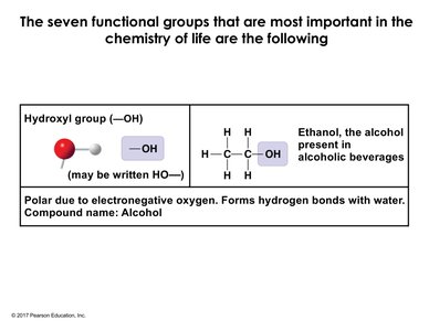 Hydroxyl group structure and example