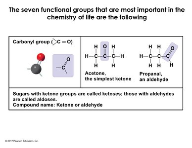 Carbonyl group structure and example