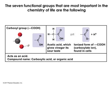 Carboxyl group structure and example