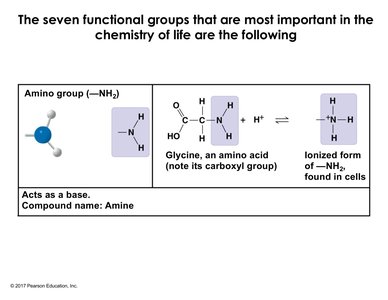 Amino group structure and example