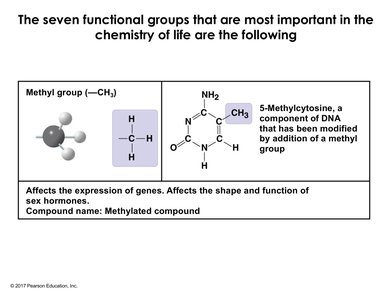 Methyl group structure and example
