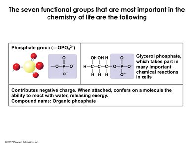 Phosphate group structure and example