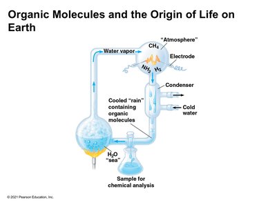 Miller-Urey experiment setup for organic molecule synthesis