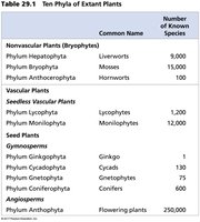 Table of ten phyla of extant plants