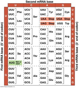 Genetic code table